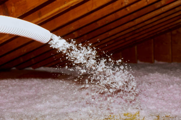 Types of Insulation We Offer in Winfield, AL